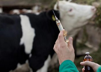 Hastalıklarda Koruyucu Aşıların Önemi