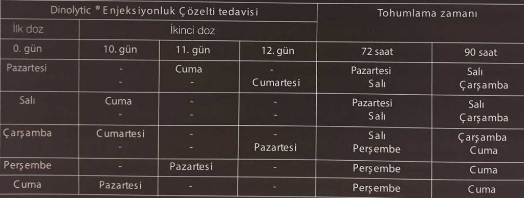 Sığırda kontrollü üreme için uygulanan Çifte Dinolytic® enjeksiyonluk çözelti tedavi planı