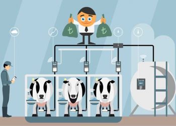 Süt Sığırcılığında Tasarruf Önlemleri