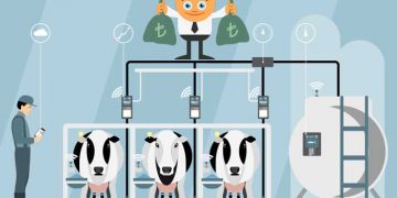 Süt Sığırcılığında Tasarruf Önlemleri