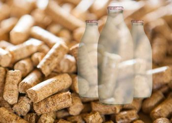 Süt ve Yemin Fiyat Dengesi