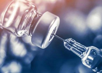 Sütçü Sığır İşletmelerinde Aşılama ve Koruyucu Hekimlik Programı