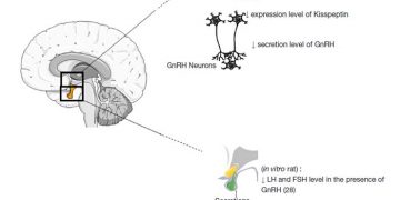 Sütçü Sığır İşletmelerinde Östrus Senkronizasyonu