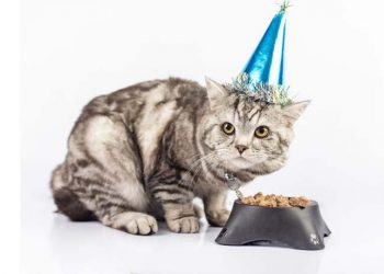 Yapılış Bozukluğu Nedir?