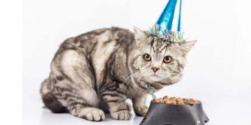 Yapılış Bozukluğu Nedir?