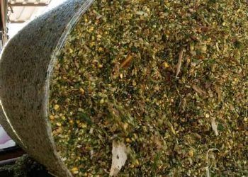 Yapısal Olmayan Karbonhidratlar Nedir?