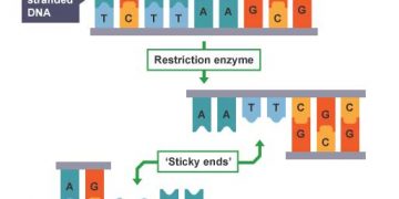 Yapışkan Uç Nedir?