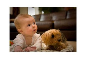 Yaramaz Çocuk Sendromu Nedir?