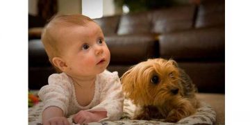 Yaramaz Çocuk Sendromu Nedir?