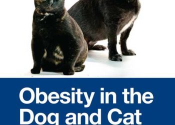 Köpek ve Kedide Obezite