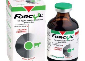 Forcyl