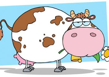 İneklerde Yağlı Karaciğer Sendromunun Tedavisi Nasıl Yapılmalıdır?