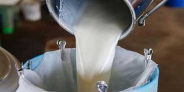 Suni Tohumlamada ırk uyumu şartını n kaldırılmasını doğru bulmuyoruz