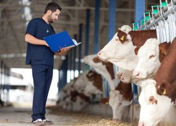 Sürü Yönetiminde Veteriner Hekimin Rolü