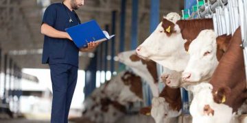 Sürü Yönetiminde Veteriner Hekimin Rolü