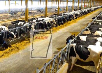 Sütçü İşletmelerin Karnesi