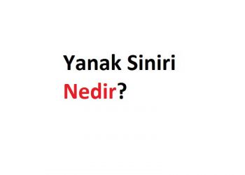 Yanak Siniri Nedir?