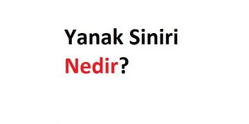 Yanak Siniri Nedir?