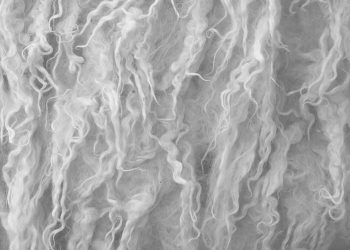 Yapağı Özellikleri Nedir?