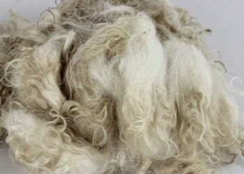 Yapağıda İncelik Nedir?