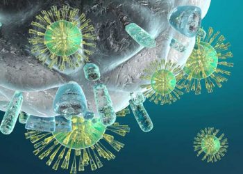 Yapay Bağışıklık Nedir?