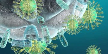 Yapay Bağışıklık Nedir?