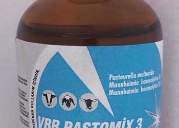 VBR Pastomix 3