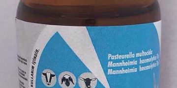 VBR Pastomix 3