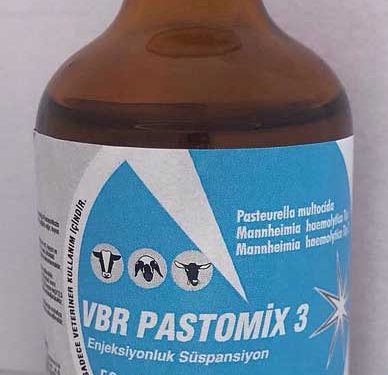 VBR Pastomix 3