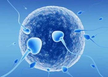 İneklerde İnfertiliteye Neden Olan İmmünolojik Faktörler