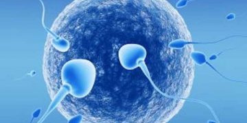İneklerde İnfertiliteye Neden Olan İmmünolojik Faktörler