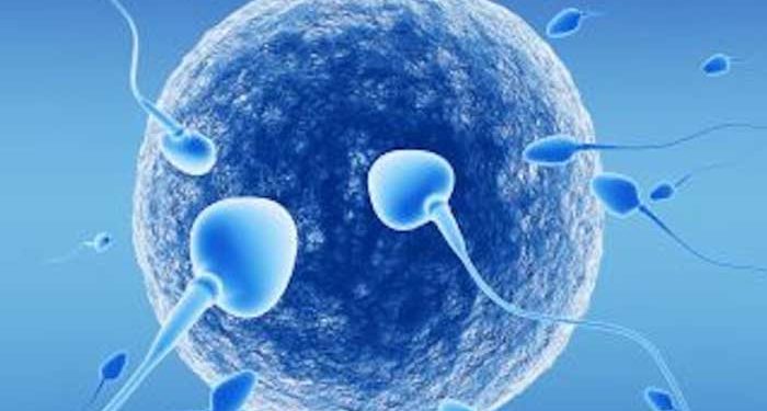 İneklerde İnfertiliteye Neden Olan İmmünolojik Faktörler