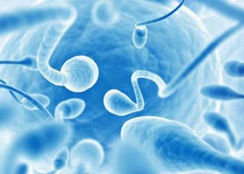 İneklerde İnfertiliteye Neden Olan Patolojik Olgular