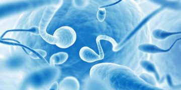 İneklerde İnfertiliteye Neden Olan Patolojik Olgular
