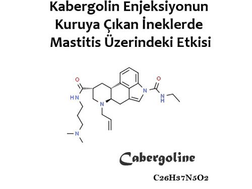 Kabergolin Enjeksiyonun Kuruya Çıkan İneklerde Mastitis Üzerindeki Etkisi