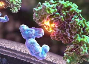 Köpek ve Kedilerde Vücuda Giren Xenobiotik (Yabancı) Maddelerin Etkileri