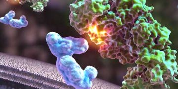 Köpek ve Kedilerde Vücuda Giren Xenobiotik (Yabancı) Maddelerin Etkileri