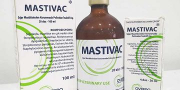 Mastivac