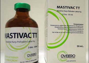 Mastivac TT