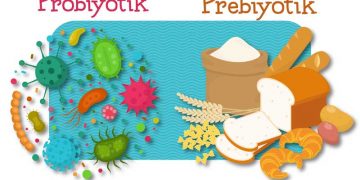 Pre ve Probiyotikler Hakkında Gerçekler