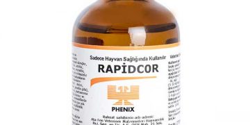 Rapidcor