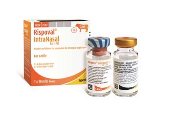 Rispoval IntraNasal RS+Pİ3