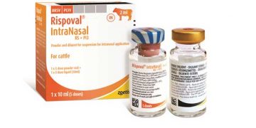 Rispoval IntraNasal RS+Pİ3