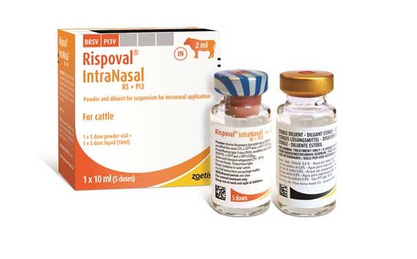 Rispoval IntraNasal RS+Pİ3