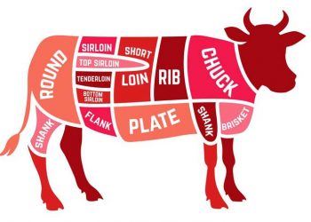 Sığır Eti Üretimini ve Ekonomisini Etkileyen Hayvan Hastalıkları