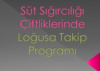 Süt Sığırcılığı Çiftliklerinde Loğusa Takip Programı