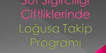 Süt Sığırcılığı Çiftliklerinde Loğusa Takip Programı