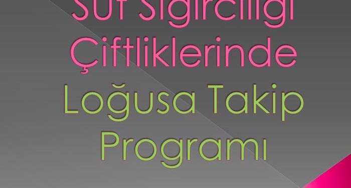 Süt Sığırcılığı Çiftliklerinde Loğusa Takip Programı