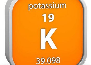 Sütçü İneklerde Potasyumun Etkisi