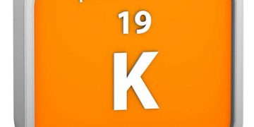 Sütçü İneklerde Potasyumun Etkisi